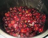 Foto del paso 1 de la receta: Vino o licor de cranberry’s
