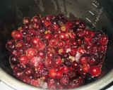 Foto del paso 1 de la receta: Vino o licor de cranberry’s