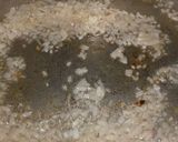 A picture of step 3 of Black Chanay (Gugni) #Iftar_Contest #Cookpadapp #5weeksChallenge.
