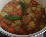 Foto langkah ke 8 dari resep Vegetable Mutton Curry 🍛🍲🍚.
