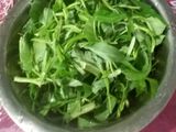 Tumis Kangkung Terasi