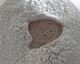 Foto del paso 1 de la receta: Masa para hacer pizza