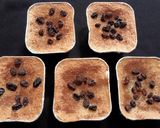 Foto langkah ke 7 dari resep Klappertaart simpel.
