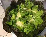 Une image de l'étape 7 de Laitue rougette aux petits oignons blancs et herbes aromatiques.