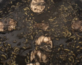 Foto del paso 4 de la receta: 73. Fideuá a mi manera (principal paella)