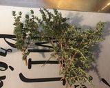 Une image de l'étape 2 de Conserves de piments verts aux tomates, ail et herbes aromatiques.