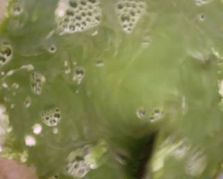 Cendol Beras (ke-2) - Step 1