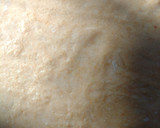 Foto del paso 5 de la receta: Galletitas de queso de la Hermana Bernarda