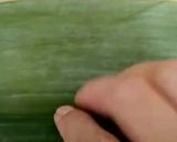 Foto langkah ke 5 dari resep Otak-Otak Ayam.