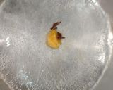 A picture of step 2 of Green Tea.
