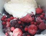 Foto del paso 2 de la receta: Helado de frutos rojos elaborado con la Monsieur Cuisine Plus