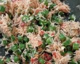 Foto langkah ke 3 dari resep #769 Sambal Docang Khas Jepara.