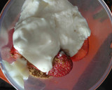 Foto del paso 2 de la receta: Helado light