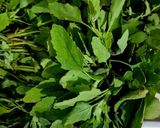 बथुआ का पराठा - सेहत के लिए पौष्टिक बथुआ साग का पराठा रेसिपी चरण 1 फोटो