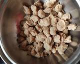 Crispy Soya Nuggets recipe step 1 photo