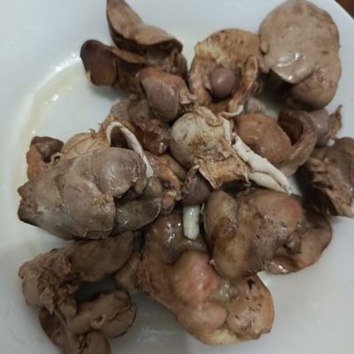 Langkah 4