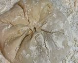 A picture of step 3 of Artisan style white bread.