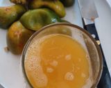 Foto langkah ke 2 dari resep Jus Jeruk Tomat Pepaya.