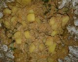 Foto langkah ke 7 dari resep Semur kentang hati ayam- mpasi 1y+.