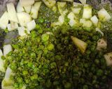 A picture of step 5 of Nimona.
