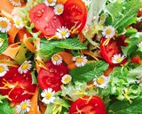 Hình bước làm 2 của món 🌱 Salad Hoa Cỏ (Cúc Tần & Bồ Công Anh)