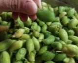 Foto del paso 2 de la receta: Guasanas