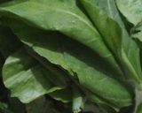 A picture of step 2 of Chicken Palak.
