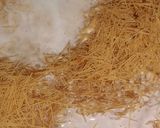 A picture of step 1 of Siwaiyon ka zarda.