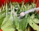 自製小松葉「油菜」雪裡紅的食譜步驟2照片