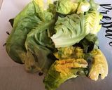 Une image de l'étape 2 de Salade de printemps aux radis cerises et mozzarella di buffala.