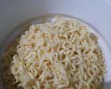 Foto langkah ke 1 dari resep Mie goreng Telor plus sayuran.