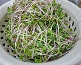 Hình bước làm 4 của món Salad Rau Mầm Trộn Thịt Bò Áp Chảo