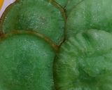 Foto langkah ke 4 dari resep Cucur hijau.