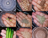 காய்க்கறி குருமா ரெசிபி ஸ்டேப் 2 புகைப்படம்