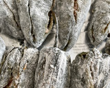 Foto del paso 14 de la receta: Chiles en Nogada