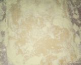 A picture of step 2 of Albishir.