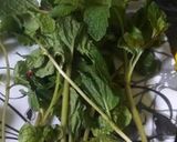 A picture of step 1 of Mint watermelon juice.
