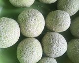 Foto langkah ke 10 dari resep Onde onde kopong isi kacang hijau coklat.