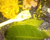 Foto langkah ke 1 dari resep Sayur Labu Siam Tempe.