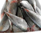Foto del paso 1 de la receta: júrelos en escabeche.