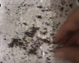 A picture of step 6 of Fudgy Oreo fudge.