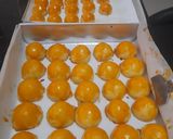 Foto langkah ke 6 dari resep Nastar Ekonomis dan Lumer dimulut.