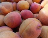 Une image de l'étape 1 de 🌸 Confiture d'abricots.