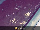 حللى الاوريٌـو 🤩🍨