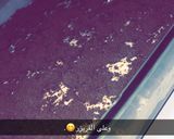 صورة لخطوة 3 من وصفة حللى الاوريٌـو 🤩🍨