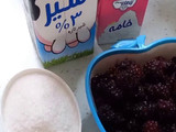 بستنی میوه ای 🍨🍨 (با طعم تمشک)