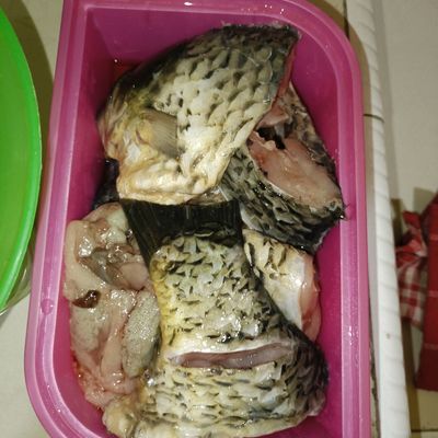Langkah 1