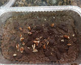 Foto del paso 4 de la receta: Brownie de porotos negros: sin gluten, sin lácteos, sin huevo