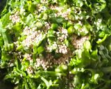 A picture of step 1 of Palak alu bhajiya.