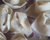 Qeema vgi wonton recipe step 5 photo